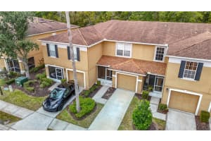4223 WINDING RIVER WAY, LAND O LAKES, FL 34639 - MLS#MFRTB8443372