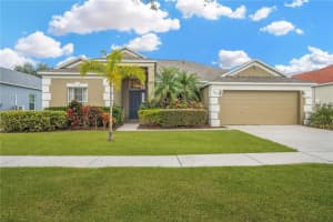 10812 AUSTRALIAN PINE DRIVE, RIVERVIEW, FL 33579 - MLS#MFRTB8443381