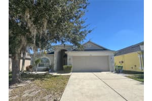 4150 BRANCHSIDE LANE, WESLEY CHAPEL, FL 33543 - MLS#MFRTB8443406