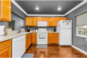 1460 OAK HILL DRIVE, DUNEDIN, FL 34698 - MLS#MFRTB8443416