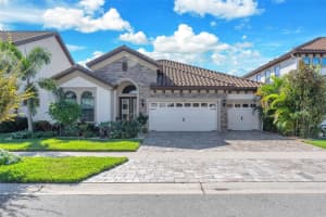 11305 HAWKS FERN DRIVE, RIVERVIEW, FL 33569 - MLS#MFRTB8443436