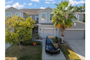 10523 LAKE MONTAUK DRIVE, RIVERVIEW, FL 33578 - MLS#MFRTB8443440