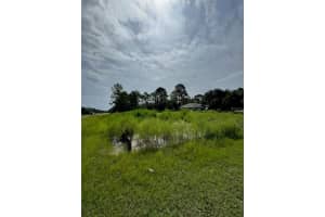 13142 MOTTLED DUCK RD ROAD, WEEKI WACHEE, FL 34614 - MLS#MFRTB8443449