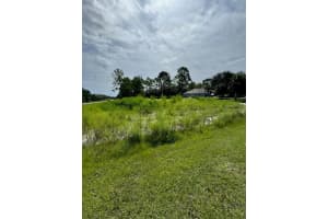 13142 MOTTLED DUCK RD ROAD, WEEKI WACHEE, FL 34614 - MLS#MFRTB8443449