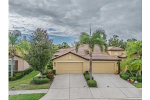 5521 Sunset Falls Dr, APOLLO BEACH