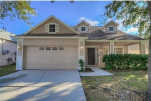 3117 SUMMER CRUISE DRIVE, VALRICO, FL 33594 - MLS#MFRTB8443487