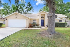 4925 IVY GLEN PLACE, LAND O LAKES, FL 34639 - MLS#MFRTB8443501