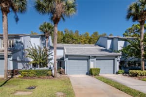 4127 BRENTWOOD PARK CIRCLE, TAMPA, FL 33624 - MLS#MFRTB8443522