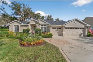 16022 TERNGLADE DRIVE, LITHIA, FL 33547 - MLS#MFRTB8443528