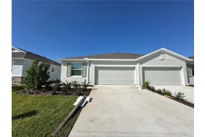 2395 BENDING BONSAI DRIVE, WESLEY CHAPEL, FL 33543 - MLS#MFRTB8443547