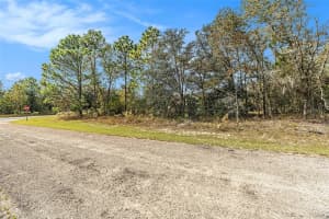 1541 RILEY DRIVE, DUNNELLON, FL 34434 - MLS#MFRTB8443584