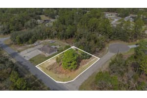 1541 RILEY DRIVE, DUNNELLON, FL 34434 - MLS#MFRTB8443584