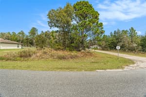 1541 RILEY DRIVE, DUNNELLON, FL 34434 - MLS#MFRTB8443584