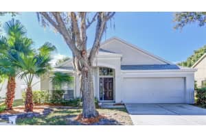 29806 Morningmist Dr, WESLEY CHAPEL