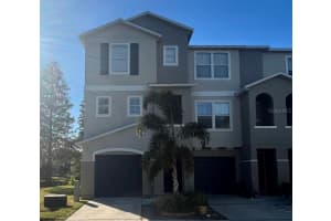 617 Wheaton Trent Pl, TAMPA 617 Wheaton Trent Pl, TAMPA