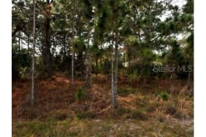 Lot 21 BATHFELD ROAD, NORTH PORT, FL 34291 Sold 01/30/26