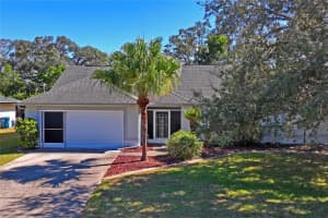 2220 GAUCHO AVENUE, SPRING HILL, FL 34608 - MLS#MFRTB8443679