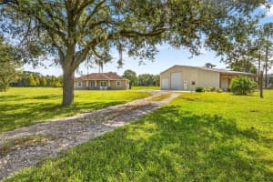 7316 HACKAMORE ROAD, ZEPHYRHILLS, FL 33541 - MLS#MFRTB8443692