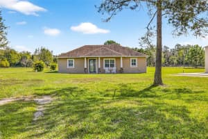 7316 HACKAMORE ROAD, ZEPHYRHILLS, FL 33541 - MLS#MFRTB8443692