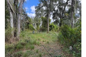 3721 PORTER ROAD, LITHIA, FL 33547 - MLS#MFRTB8443713