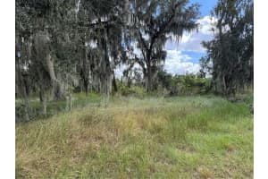 3721 PORTER ROAD, LITHIA, FL 33547 - MLS#MFRTB8443713
