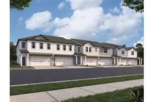 2519 Grey Hawk Dr, KISSIMMEE