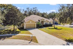 12506 Safari Ln, RIVERVIEW 12506 Safari Ln, RIVERVIEW