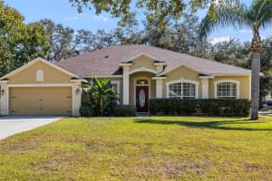 12506 SAFARI LANE, RIVERVIEW, FL 33579 - MLS#MFRTB8443792