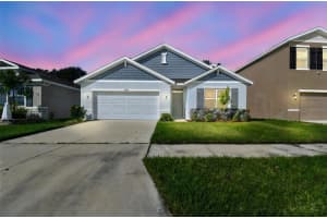 33635 FIELD MAPLE LOOP, WESLEY CHAPEL, FL 33545 - MLS#MFRTB8443840