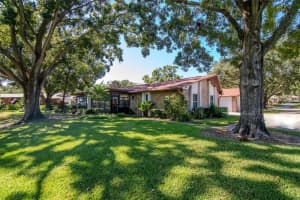 2281 SHELLY DRIVE, PALM HARBOR, FL 34684 - MLS#MFRTB8443851