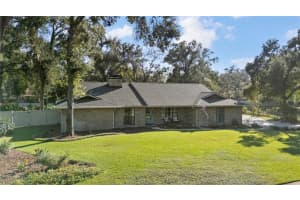 2941 CHELSEA WOODS DRIVE, VALRICO, FL 33596 - MLS#MFRTB8443856
