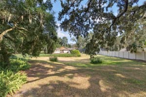 2941 CHELSEA WOODS DRIVE, VALRICO, FL 33596 - MLS#MFRTB8443856