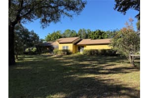 6547 LAKE IRENE DRIVE, LAND O LAKES, FL 34638 - MLS#MFRTB8443868