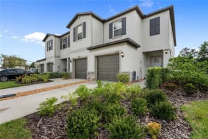 36522 CAMP FIRE TERRACE, ZEPHYRHILLS, FL 33541 - MLS#MFRTB8443877