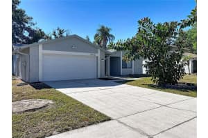 5012 Country Hills Dr, TAMPA 5012 Country Hills Dr, TAMPA