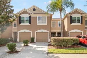 8558 SANDY BEACH STREET, TAMPA, FL 33634 - MLS#MFRTB8443897