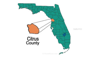 9049 ALPINIA DRIVE, CITRUS SPRINGS, FL 34434 Sold 11/14/25