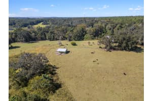 32854 LISTER ROAD, DADE CITY, FL 33523 - MLS#MFRTB8443952