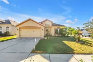 1709 OPEN FIELD LOOP, BRANDON, FL 33510 - MLS#MFRTB8443984