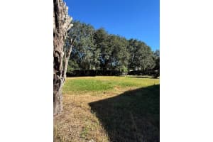 175 SUNSET ROAD, MULBERRY, FL 33860 - MLS#MFRTB8444003