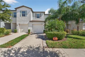 3928 Cat Mint St, TAMPA