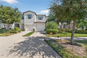 3928 CAT MINT STREET, TAMPA, FL 33619 - MLS#MFRTB8444014