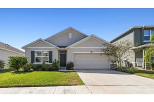 10840 TALLY FAWN LOOP, SAN ANTONIO, FL 33576 - MLS#MFRTB8444024