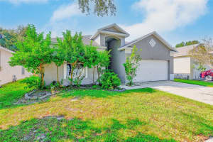 19130 WOOD SAGE DRIVE, TAMPA, FL 33647 - MLS#MFRTB8444030