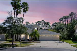 16102 Colchester Palms Dr Tampa, FL 33647 - Off Market