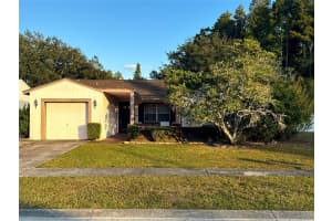 14003 BASIN STREET, TAMPA, FL 33625 - MLS#MFRTB8444041