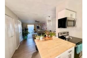 11806 CYPRESS HILL CIRCLE, TAMPA, FL 33626 - MLS#MFRTB8444110