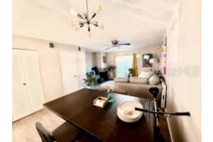 11806 CYPRESS HILL CIRCLE, TAMPA, FL 33626 - MLS#MFRTB8444110