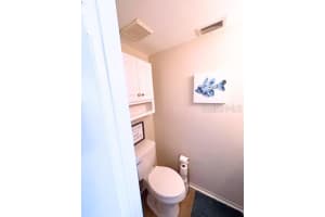 11806 CYPRESS HILL CIRCLE, TAMPA, FL 33626 - MLS#MFRTB8444110