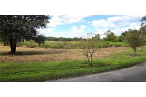 RIVERSIDE PARK RD, ORLANDO, FL 32810 - MLS#MFRTB8444111